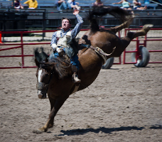 cowboy on bucking horse